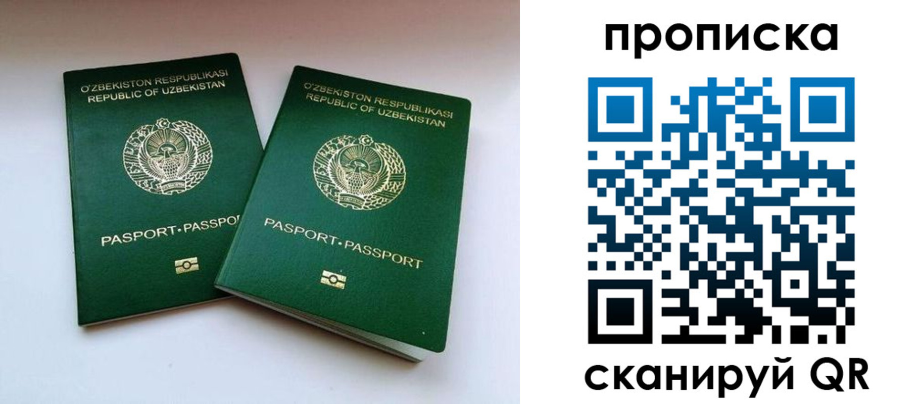 прописка поиск в Щучье